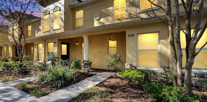 234 Penmark Stone Place, Valrico