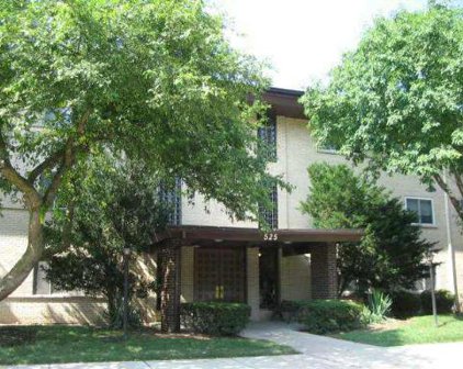 525 Cleveland Unit #203, Arlington Heights