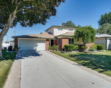39656 KAROLA, Sterling Heights