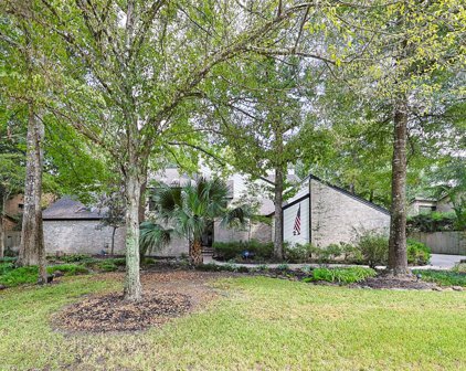 23 Sunlit Forest Drive, The Woodlands