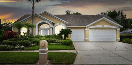 15115 Laurel Cove Circle, Odessa