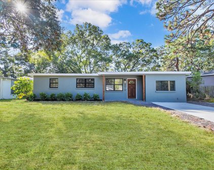 4016 W Lawn Avenue, Tampa