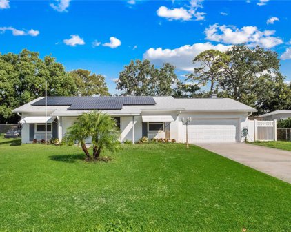 1721 Brazilian Lane, Winter Park