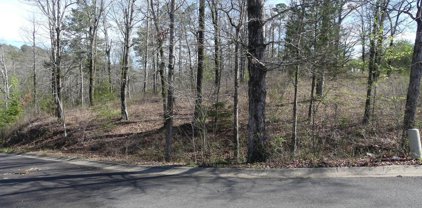 Lot 18-A Rose Creek, Hot Springs