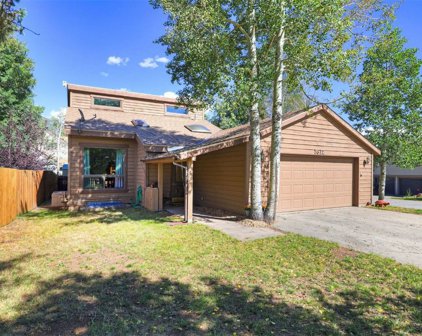 1612 N Chipmunk  Lane, Silverthorne