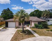 8415 Sunflower Drive, Spring Hill image