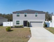 210 Big Sioux Drive, Poinciana image