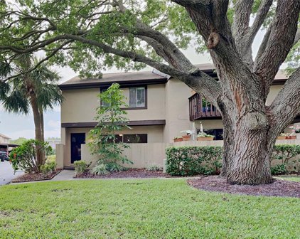 3713 Pine Cone Circle, Clearwater