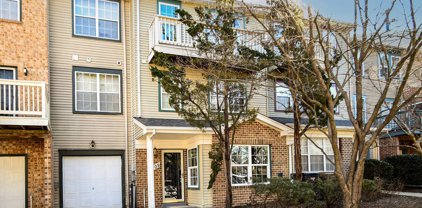 4709 Ridgeline Ter Unit #289, Bowie