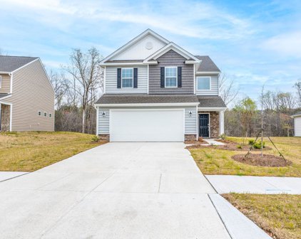 15533 Capps  Road, Charlotte