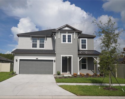 11722 Jackson Landing Place, Tampa