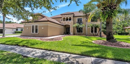 3551 Ballastone Drive, Land O' Lakes