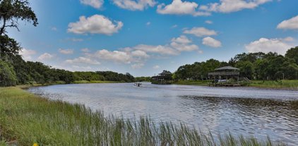 Lot A County Road 659, Brazoria