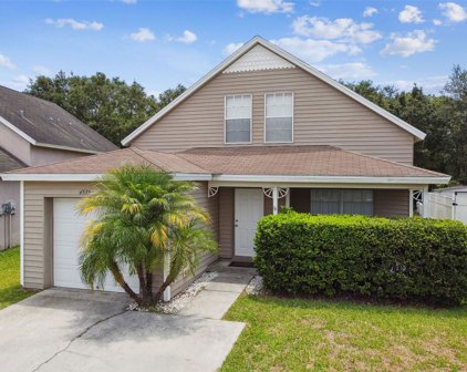 4535 White Bay Circle, Wesley Chapel