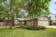 11 W Woodtimber Court, The Woodlands image