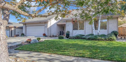 7026 Calcaterra Drive, San Jose