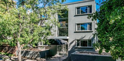 1056 N Marion Street Unit 101, Denver