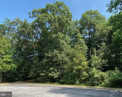 St. Patrick's Drive, Waldorf