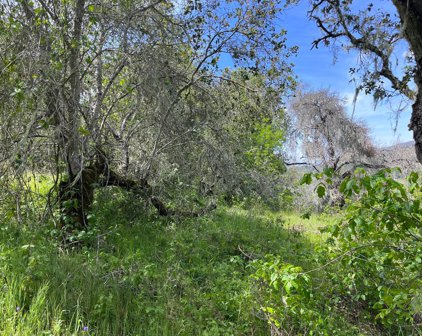 33446 E Carmel Valley RD, Carmel Valley