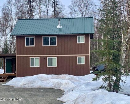 14491 Woodpecker Avenue, Talkeetna