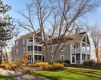 420 Oselka Drive Unit 113, New Buffalo