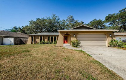 1826 Lillian Avenue, Tarpon Springs