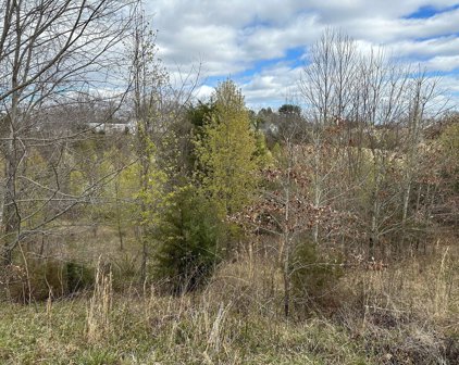 Lot 79 Virginia Ridge  Dr, Hardy