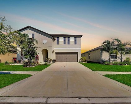 5044 White Chicory Drive, Apollo Beach