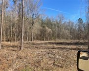 Lot 2 Old Beaubouef  Road, Deville image