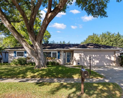 3299 Parkway Place, Palm Harbor