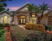 2512 Centennial Falcon Drive, Valrico image