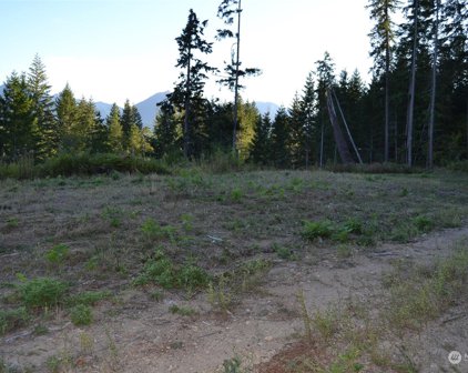 S Skate Creek Rd., Packwood