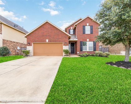 1608 Golden Taylor Drive, Pearland