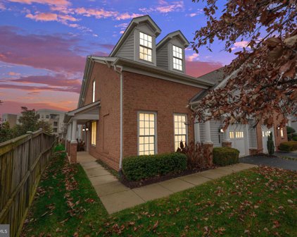 8980 Yellow Daisy Pl, Lorton