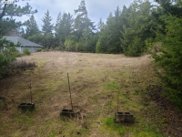 88022 WINDLEAF WAY, Florence image