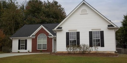 2647 Midler Court, Buford