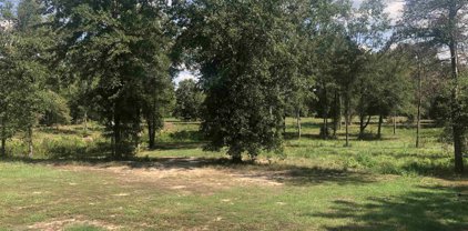 1393 CR 4460, Winnsboro
