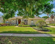 225 Southern Magnolia Lane, Sanford image