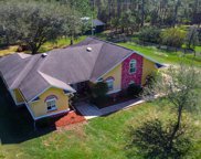 1145 Saddle Run, New Smyrna Beach image