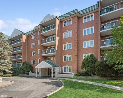 6980 W Touhy Avenue Unit #505, Niles