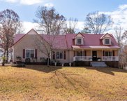 91 Whispering Oaks St, Summertown image