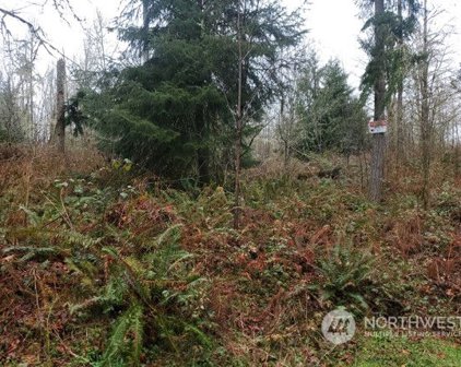 NE Union Hill Road, Redmond