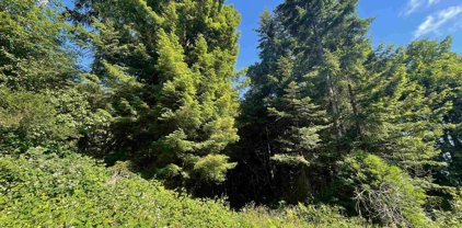 Lot 29 Bell Hole, Crescent City
