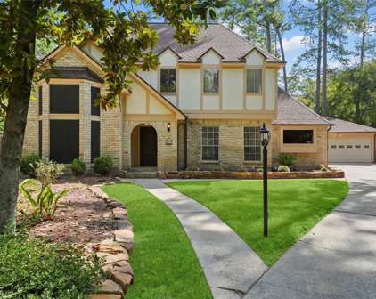11 Knoll Pines Court, The Woodlands