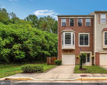7701 Wiley Creek Way, Alexandria