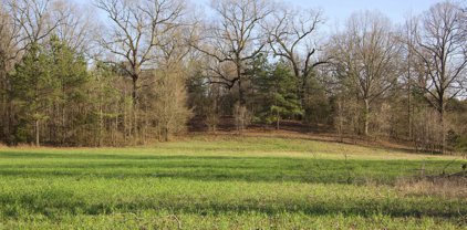4510 Fayette Corners Dr, Whiteville