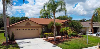 532 Waterford Circle W, Tarpon Springs
