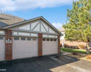 6247 Misty Pines Drive Unit #3, Tinley Park image