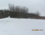 24355 S Moorman Avenue, Channahon image