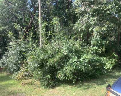 1370 Homosassa Drive, Kissimmee